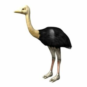 Dierlijk Somalisch Struisvogel 3D-model