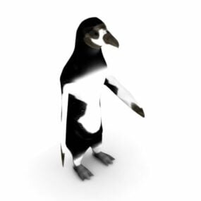South American Penguin 3d model