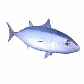 דגם תלת מימד של דג טונה כחול סנפיר דרום