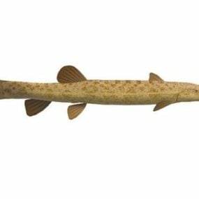 Spined Loach Fish 3d model