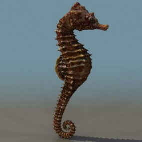 Animal Spiny Seahorse 3d model