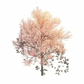 봄 핑크 나무 3d 모델