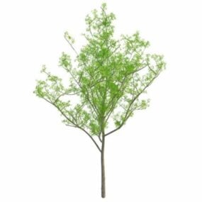 Spring Tree 3d-modell