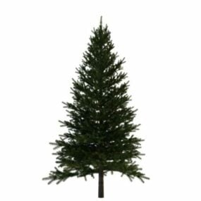 Spruce Fir Tree 3d-modell