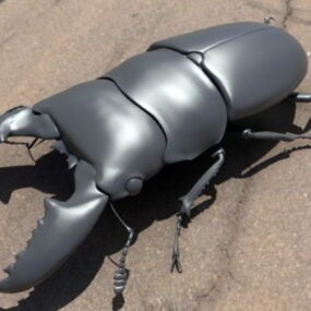 Modello 3d dello scarabeo cervo volante