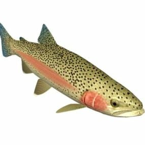 硬头鳟鱼动物3d模型