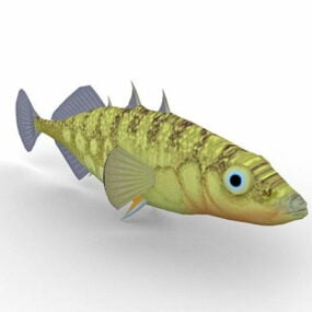 Stickleback Fish Animal 3d model