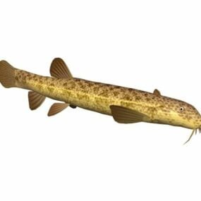 돌 미꾸라지 물고기 동물 3d 모델