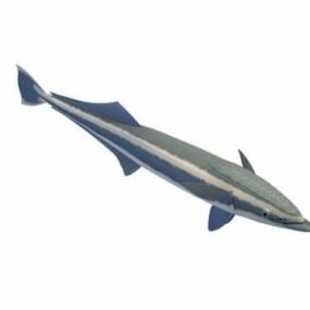 דגם 3D כריש חתול פסים