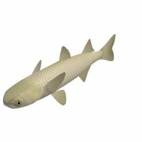 Striped Mullet Fish 3d model