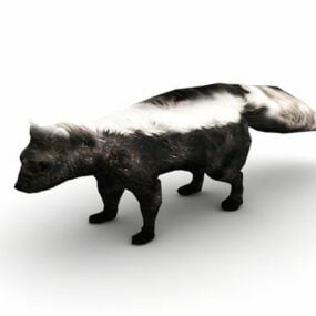 פסים Skunk Animal דגם תלת מימד