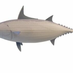 نموذج حيوان سمك التونة المخطط ثلاثي الأبعاد