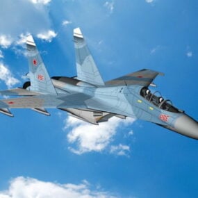 Avion de chasse Su-30 Flanker modèle 3D
