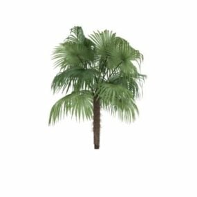 3д модель сахарной пальмы