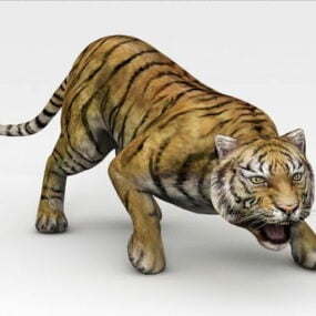 דגם 3D Sumatran Tiger