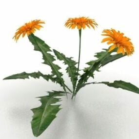 3d модель рослини соняшника