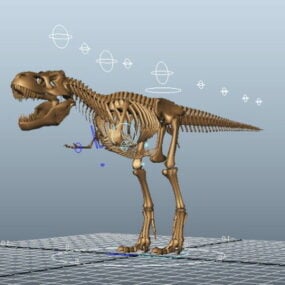 T-rex Skeleton Rig 3d-modell