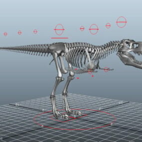 T-Rex-Skelett Rigged 3d Modell