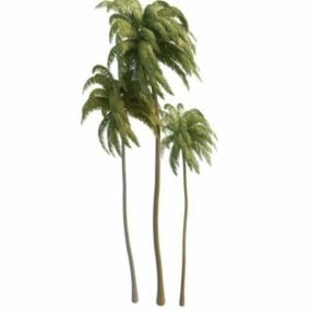 Uzun Hindistan Cevizi Palmiye Ağaçları 3d modeli