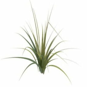 背の高い草の植物3Dモデル