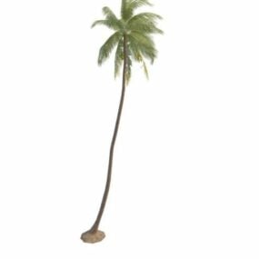 Hoog palmboom 3D-model