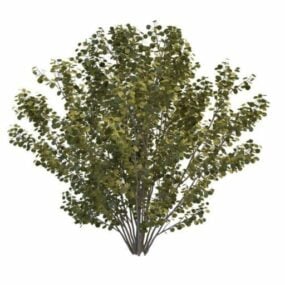 Høye busker for landskapsarbeid 3d-modell