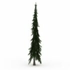 Tall Skinny Spruce Tree