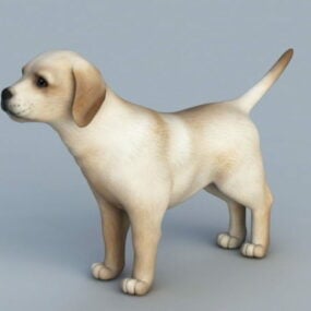 Model 3D Tan Dog