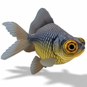 דגם תלת מימד של דג זהב בעל עיניים טלסקופיות