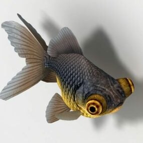 Model 3D złotej rybki teleskopowej
