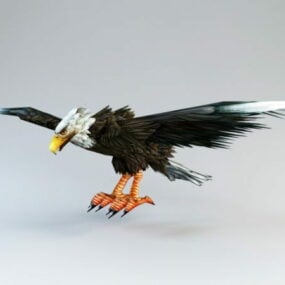 The Bald Eagle 3d model
