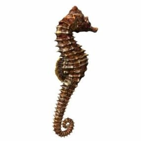 Torny Seahorse Fish Animal 3d model