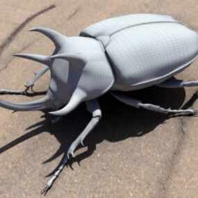 Model 3d Kumbang Badak Bertanduk Tiga