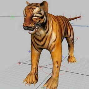 3D model Tiger Rig