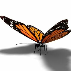 Tiger gestreiftes Schmetterlingstier 3D-Modell