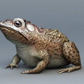 두꺼비 동물 3d 모델
