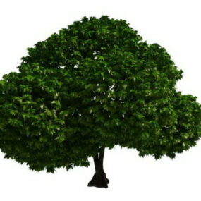 Modello 3d dell'albero topiaria
