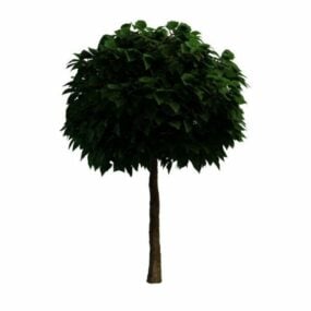 Árbol topiario para jardín modelo 3d