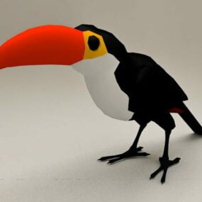 Model 3d Burung Beo Toucan Tropis