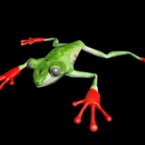 דגם תלת מימד של צפרדע עץ