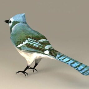 Oiseau hirondelle bicolore modèle 3D