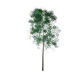 Tree And Leaf 3d model