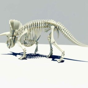 トリケラトプスの骨格 3D モデル