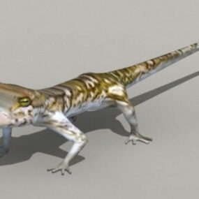 Tropical House Gecko 3d model