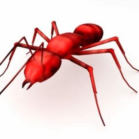 Tropický ohnivý mravenec zvířecí 3D model