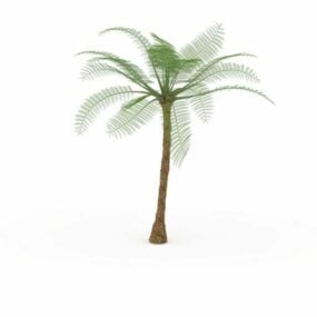 Tropikal Palmiye Ağacı 3d modeli