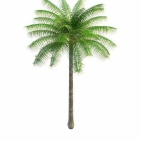 Tropisk palmetræ til landskab 3d-model