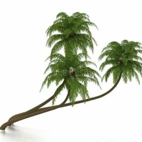 Tropical Palm Trees 3d model