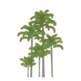 דגם תלת מימד של צמחים טרופיים עצי דקל