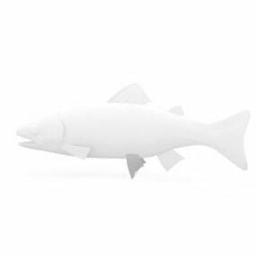 Trout Fish Animal 3d model